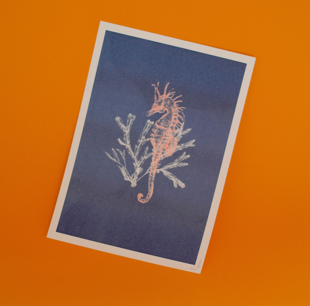 Affichette A4 Abysses - hippocampe -