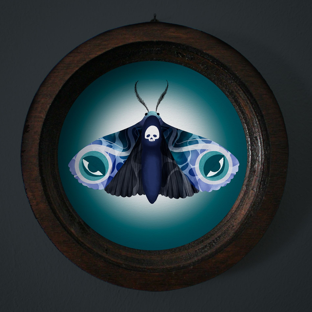 Cadre "Papillon de nuit"