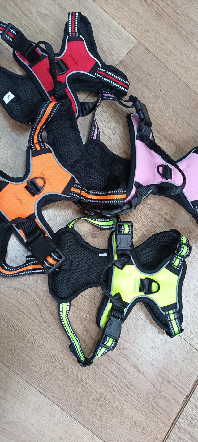 Double clip harness 