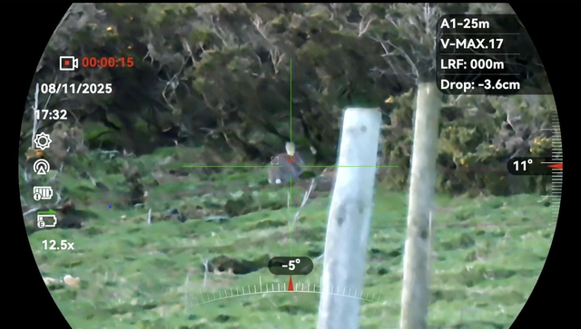 Wildlife Control - Rabbits / Hares