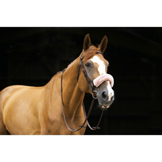 FOURREAU DE MUSEROLLE EQUITHÈME "TEDDY"