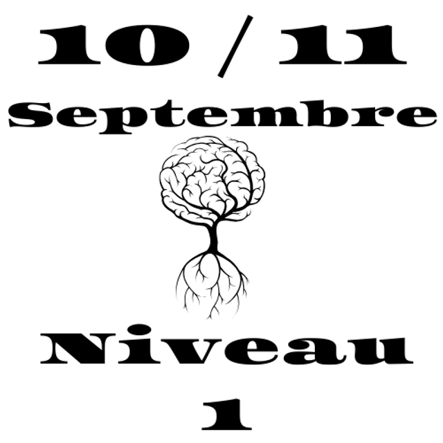 10 / 11 Septembre Séminaire Lucas Bourguignon Niveau 1