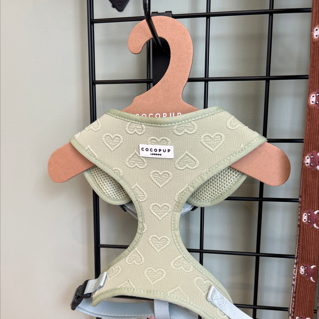 Sage heart adjustable neck harness 