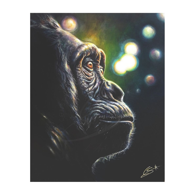 Gorille Nébuleuse