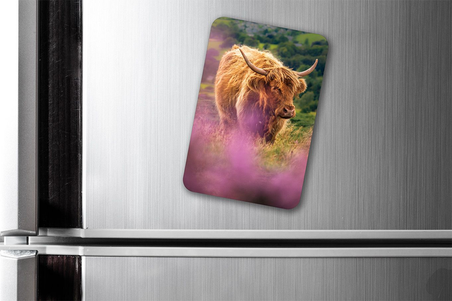 Highland Heather, Peak District