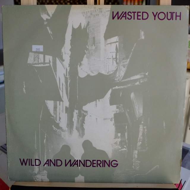 WASTED YOUTH - Wild &amp; wandering