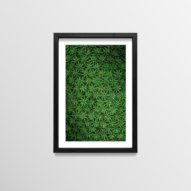 Pattern - Sao Tome