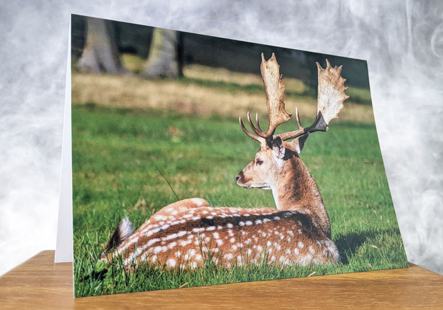 Soak Up The Sun Blank Card