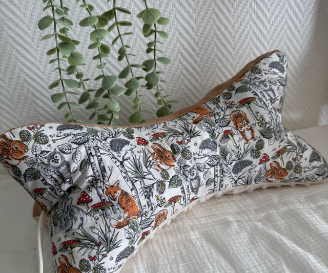 Coussin de lecture
