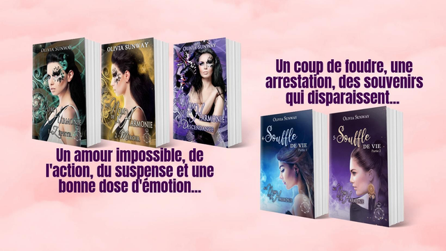 Coffret Au Nom De l'Harmonie 5 Tomes