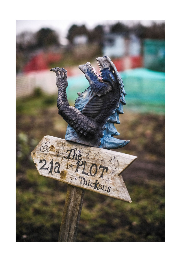 What A History Hangs - Dominic Whiten (2025)