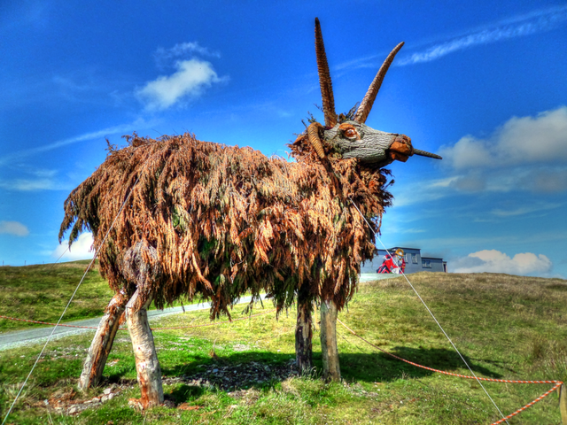 Stand Proud Mighty Loaghtan