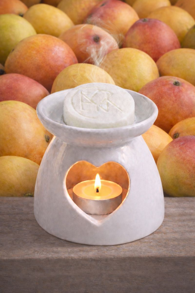 MANGUE GALET FONDANT 15g