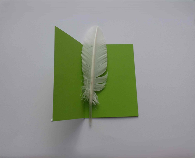 À la recherche du sapin de Noël