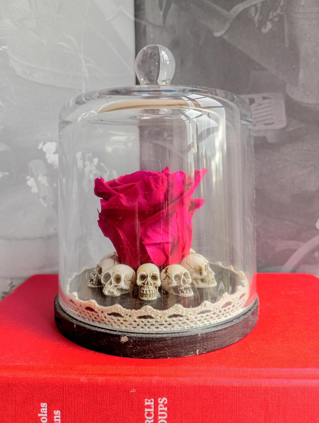 D08 Rose Violette sur crâne