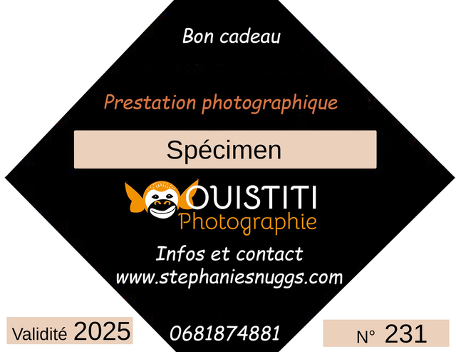 Grossesse en famille en intérieur ou extérieur,  toutes les photos du shooting retouchées et transmises en haute définition au format numérique. 