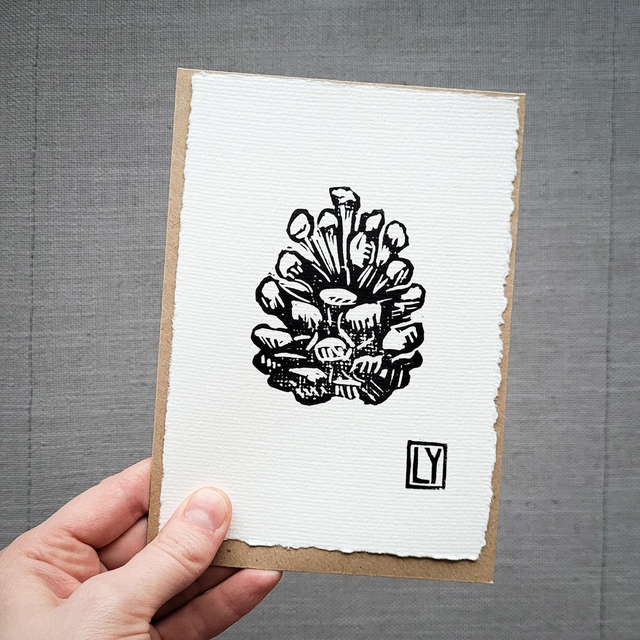 Pine cone - postcard A6