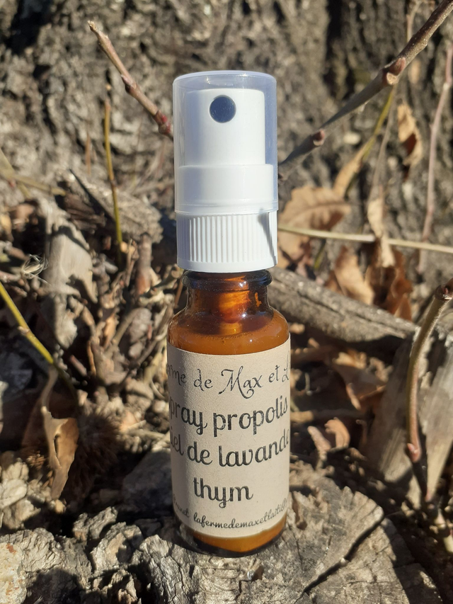 Spray à la Propolis 20ml