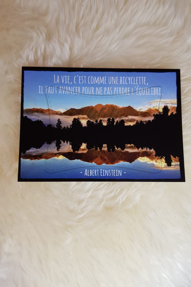 95 - Carte postale - Einstein - Nouvelle-Zelande