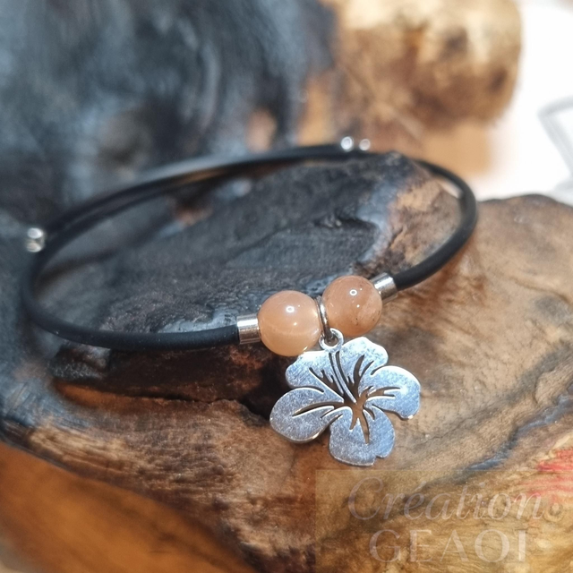 Hibiscus Pierre de Soleil