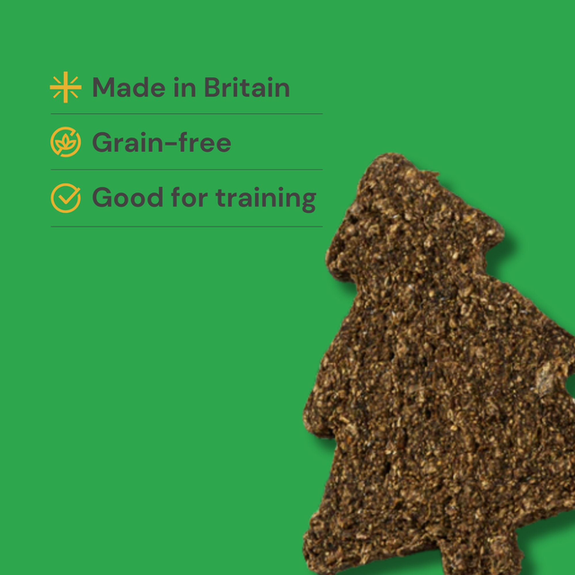 Festive Christmas Tree Dog Treats