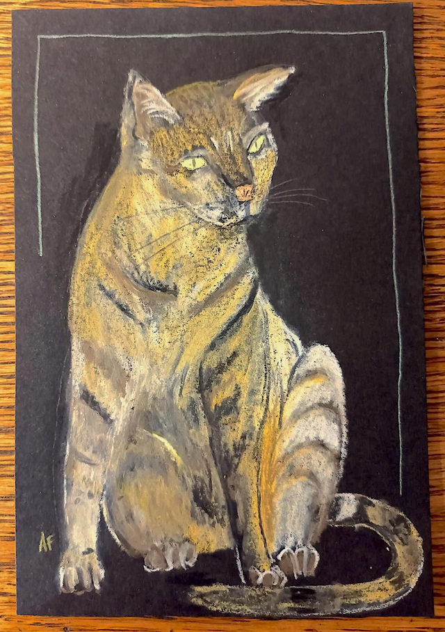 vieux chat