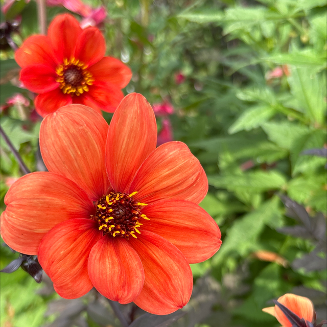 Bishop of Oxford 141