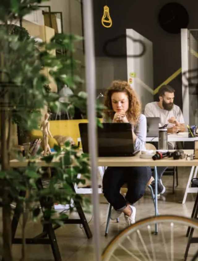 Co-Working (Full Day)