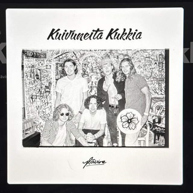 Kuivuneita Kukkia Vinyyli