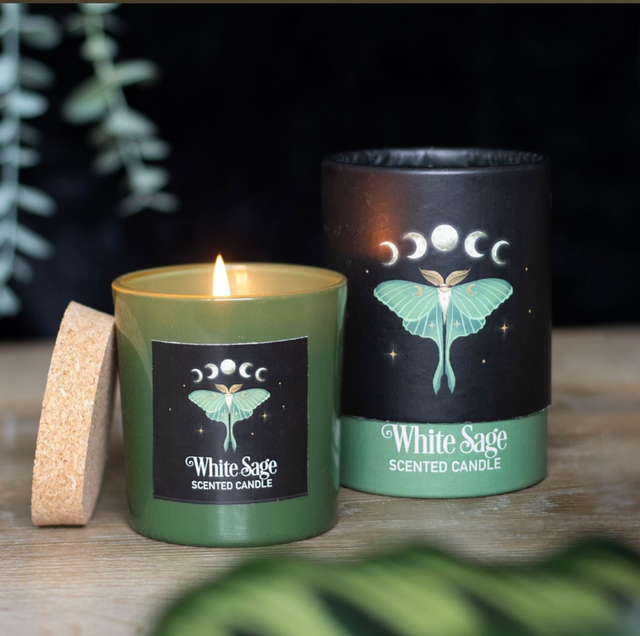 Dark forest candle 