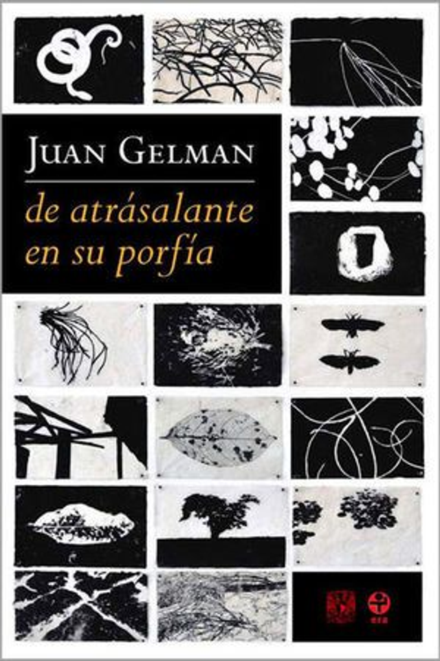 De atrásalante en su porfía: Ciudad de México, 2007-2009 - Juan Gelman