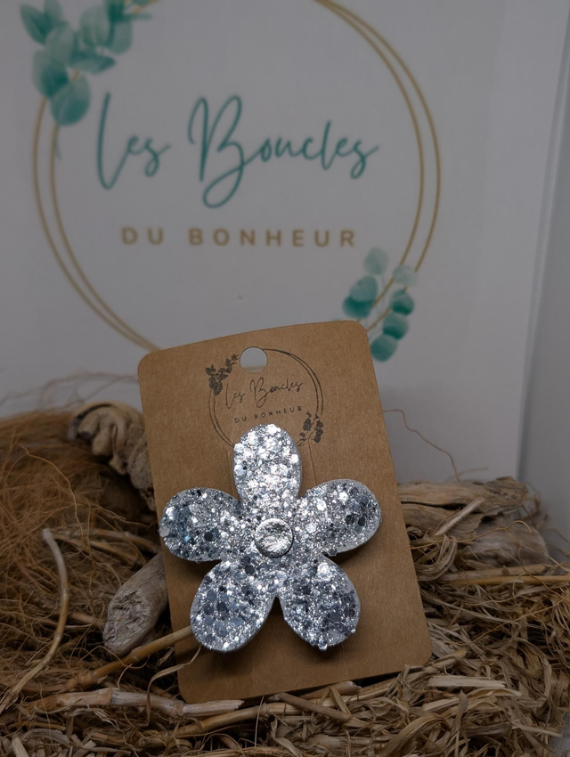 Barrette paillette br64