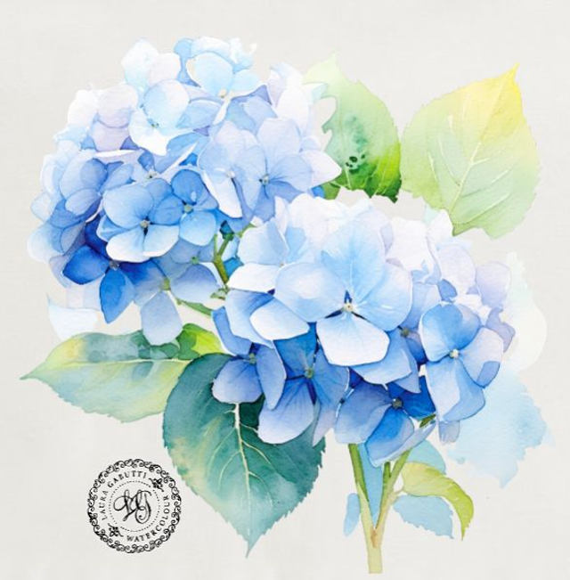 Ortensie estive azzurre