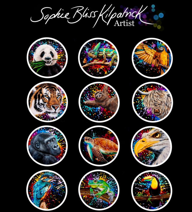 Adult Colouring Book - Splat Designs