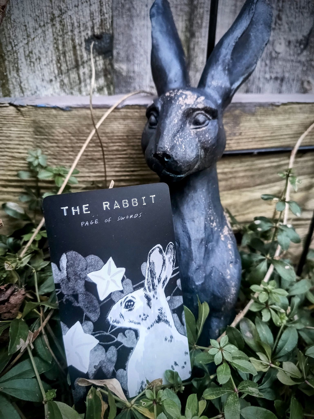 The Hide Tarot: hand-drawn black and white artistic deck full of animals and nature * by Dan Francis