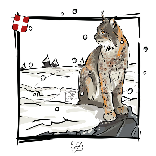 ANIMAUX D&#039;ICI - Le lynx