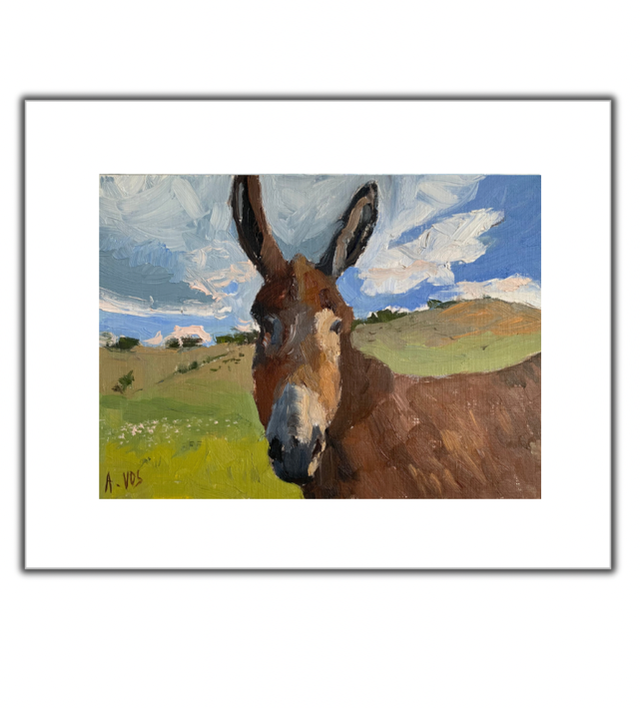 Un joli petit âne - souvenirs d’Espagne