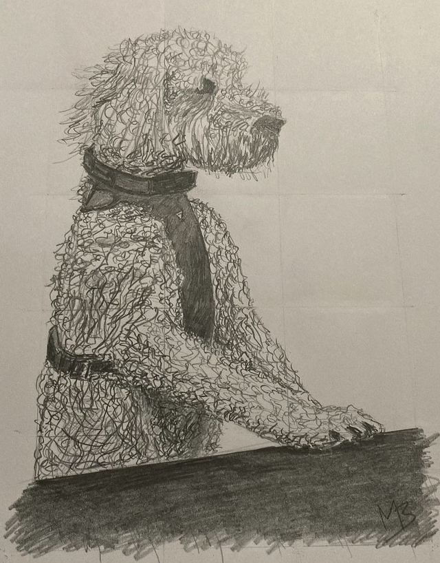 Luca The Cockapoo