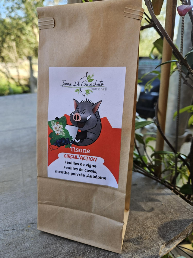 Tisane Circul'action 