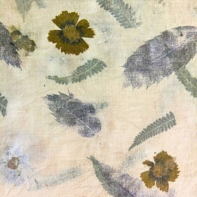 Écoprint - Atelier découverte