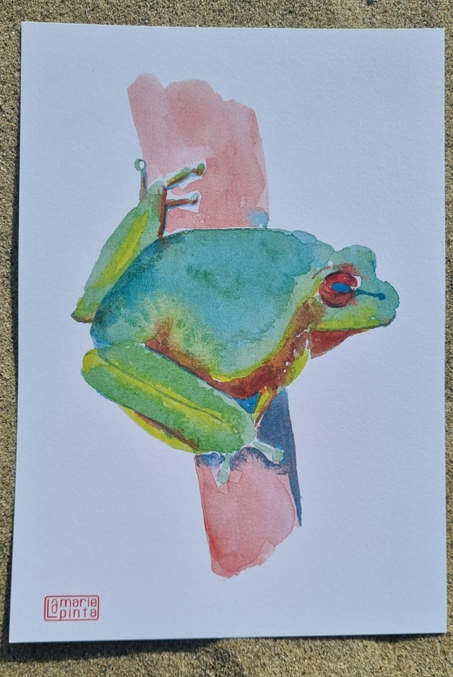 Grenouille à partir de 4€