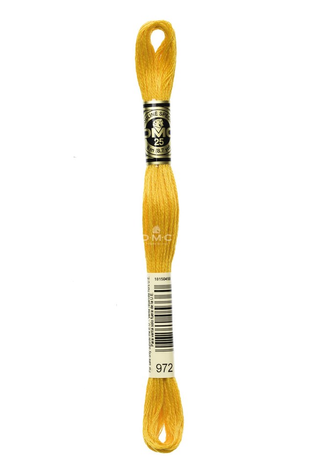 N°972 Mouliné Spécial DMC 