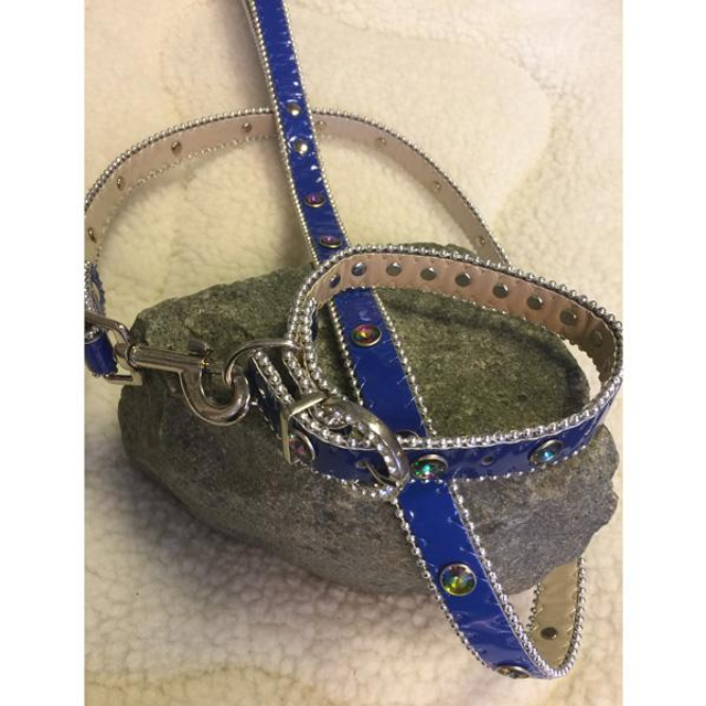 Setje halsband + lijn met studs multi-color