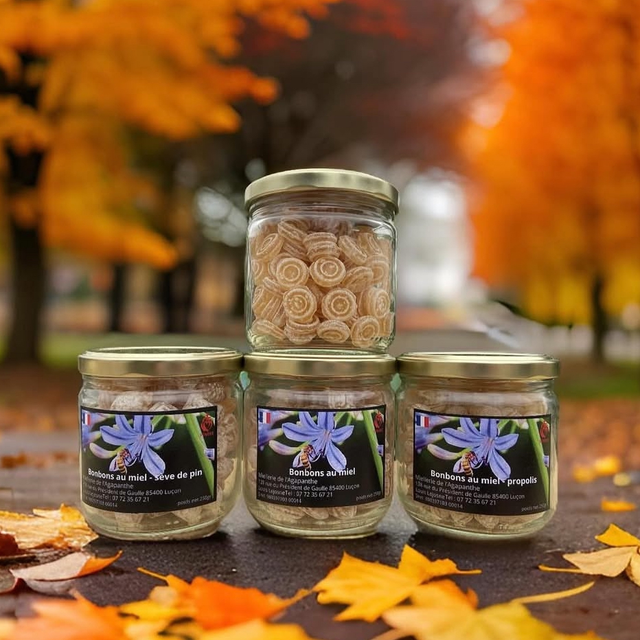 Bonbons au Miel-Sève de Pin 