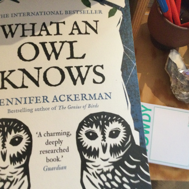 What An Owl Knows Jennifer Ackerman