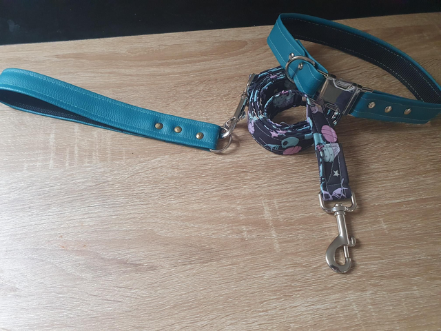 SET_Collier + Laisse ◾️ ALIEN 