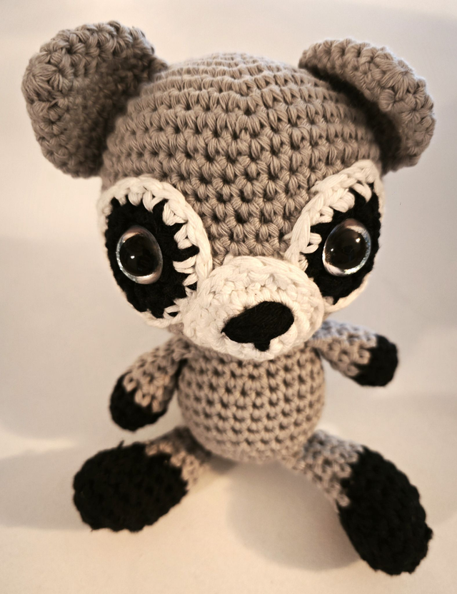 Raccoon le Raton Laveur