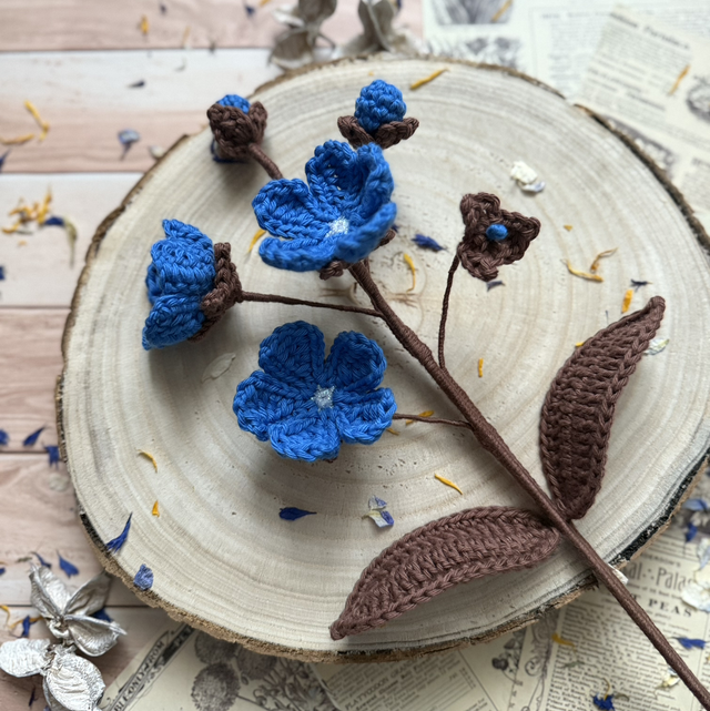 Androsace et ses bourgeons (personnalisable pour créer votre bouquet)