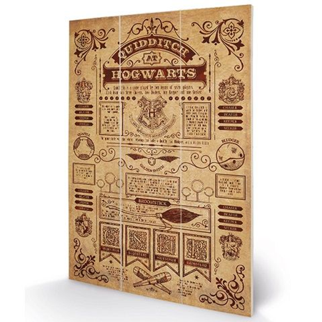 Cadre imprimé sur bois Quidditch - Harry Potter