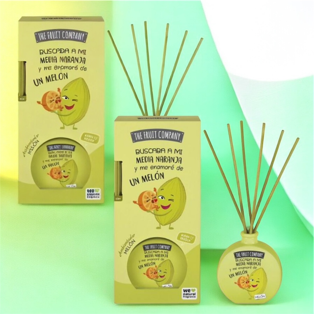 Diffuseur mikado melon X2